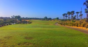 A Beautiful Golf Course in Tampa FL