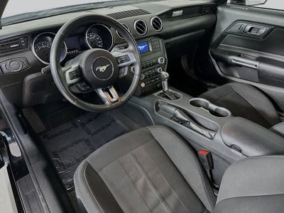 2022 Ford Mustang EcoBoost