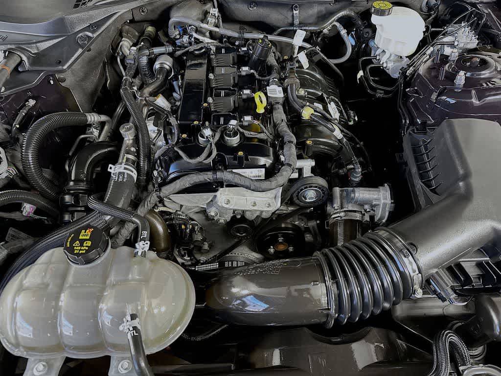 2022 Ford Mustang EcoBoost