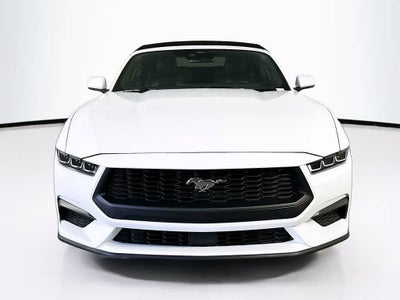 2024 Ford Mustang EcoBoost Premium