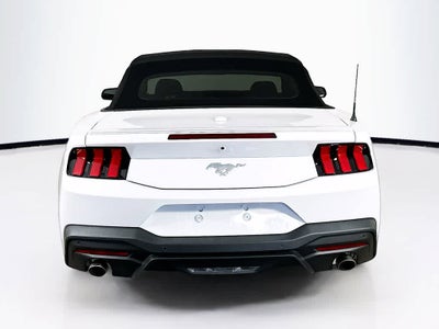 2025 Ford Mustang EcoBoost Premium