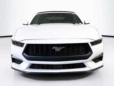 2025 Ford Mustang EcoBoost Premium