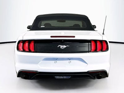 2019 Ford Mustang EcoBoost