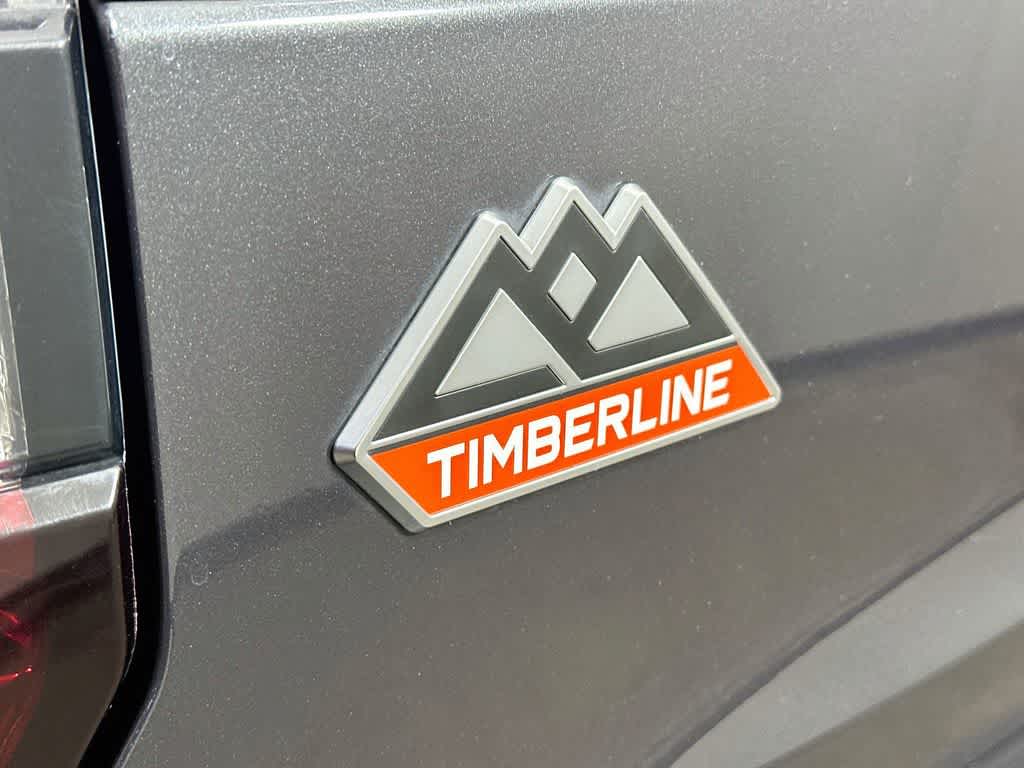 2022 Ford Expedition Timberline