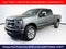 2022 Ford Super Duty F-250 SRW Platinum