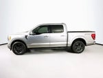 2023 Ford F-150 Base