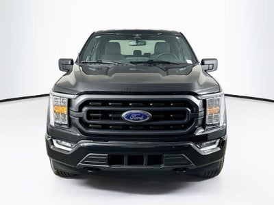 2023 Ford F-150 Base