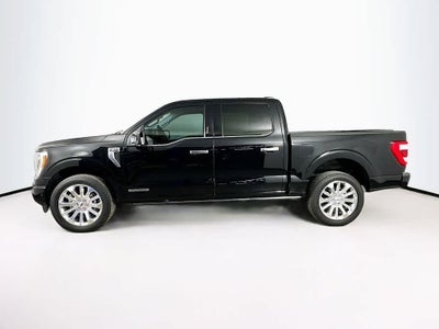 2023 Ford F-150 Limited