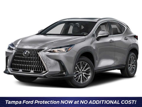 2024 Lexus NX 250 