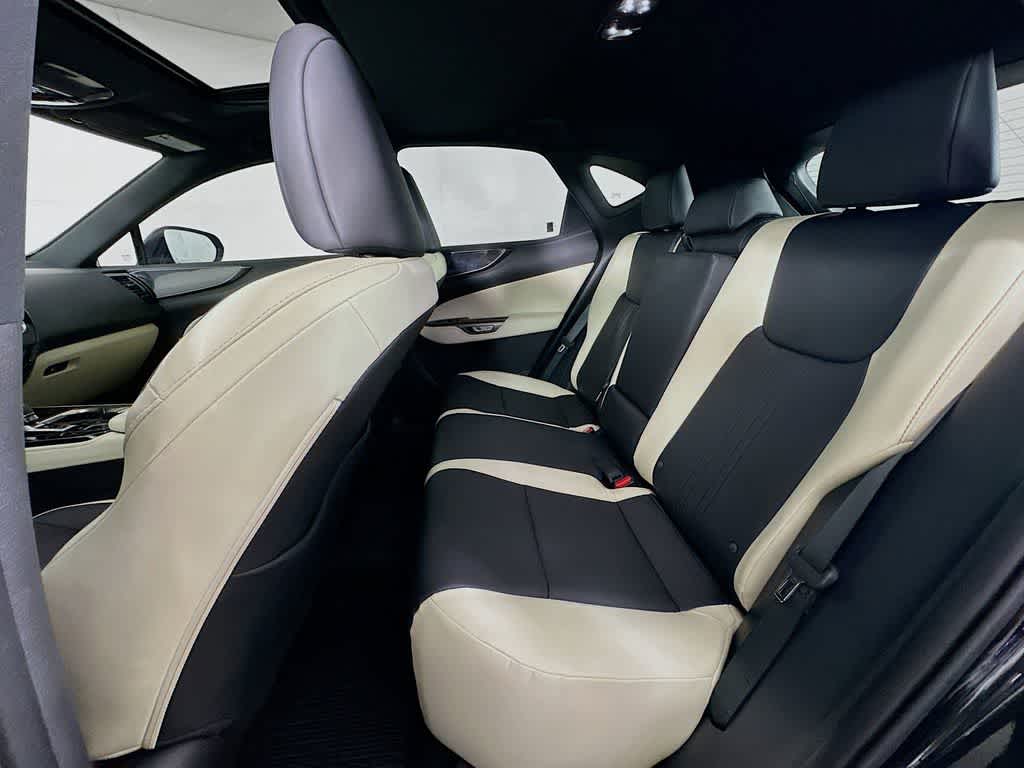 2024 Lexus NX 250 Base