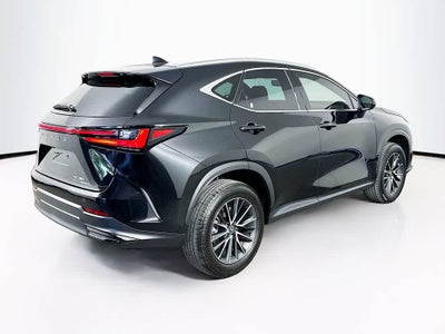 2024 Lexus NX 250 Base