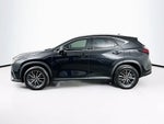 2024 Lexus NX 250 Base