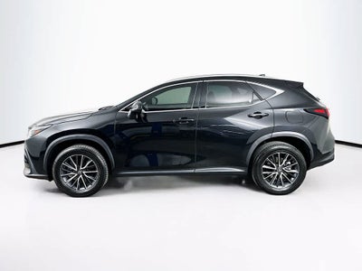 2024 Lexus NX 250 Base
