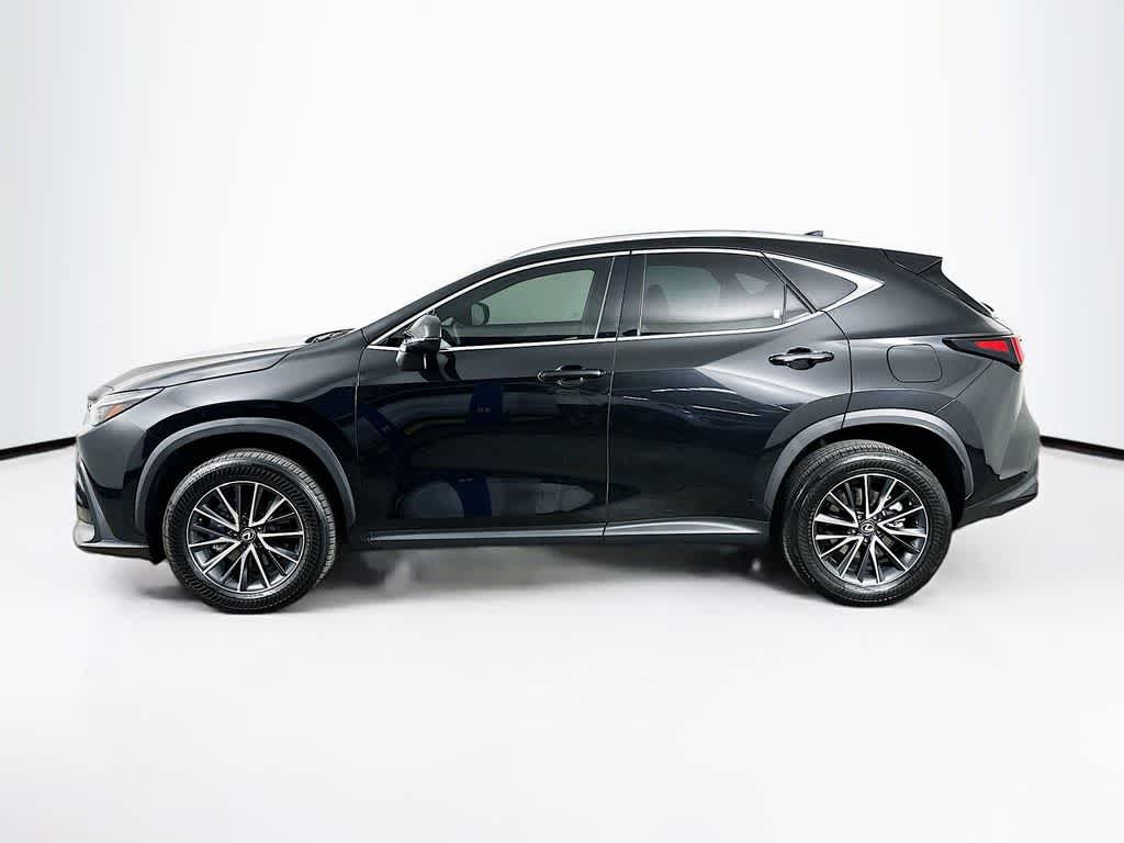 2024 Lexus NX 250 Base
