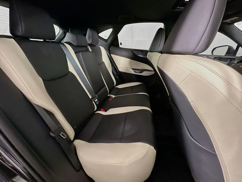 2024 Lexus NX 250 Base