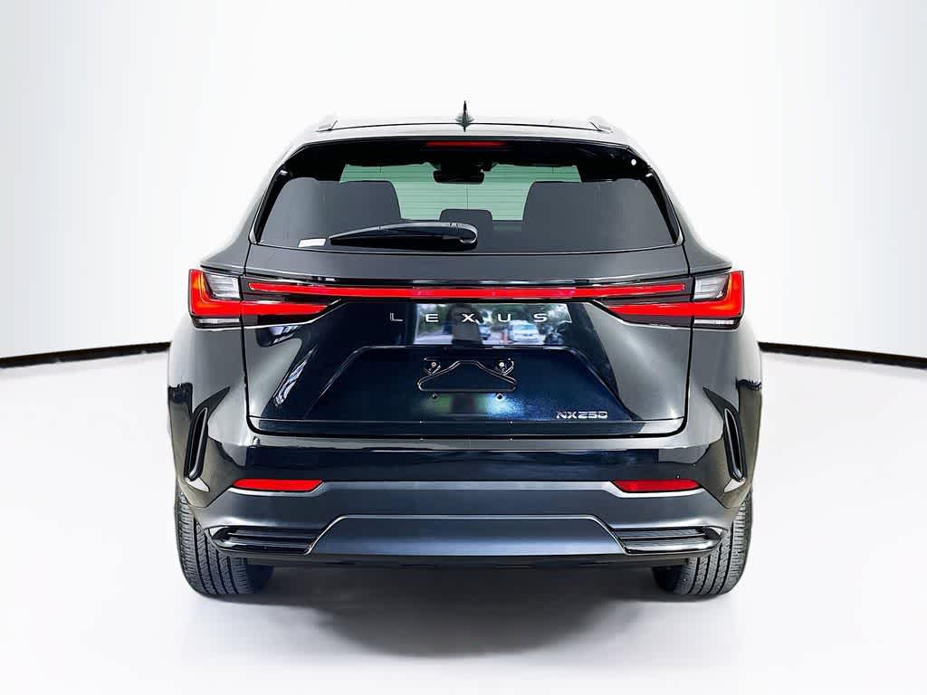 2024 Lexus NX 250 Base