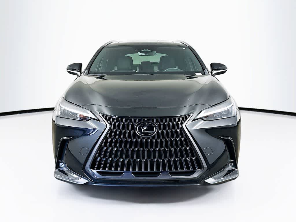 2024 Lexus NX 250 Base