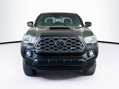 2019 Toyota Tacoma Base