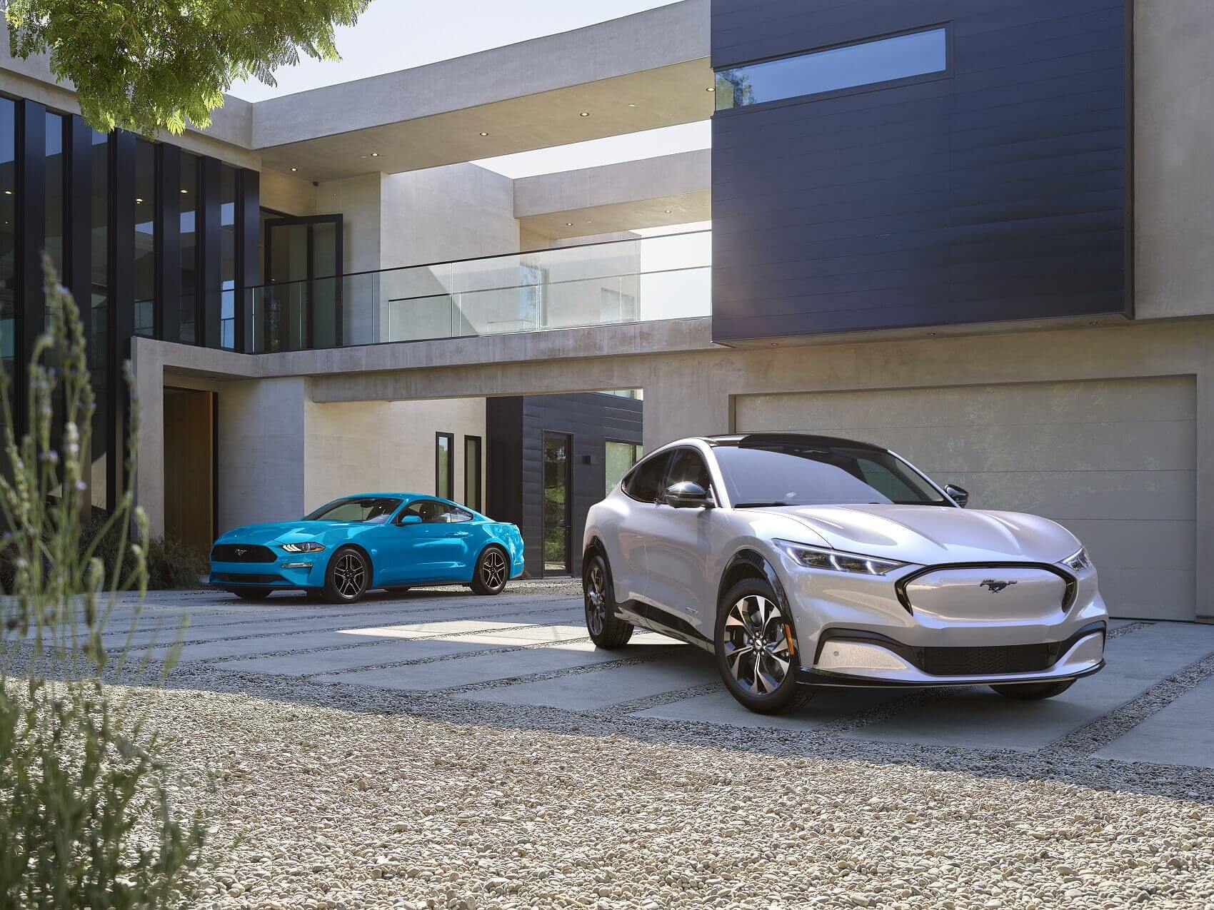 Ford Dealer near East Lake-Orient Park