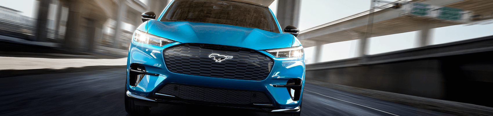 Electric Vehicle Dealer Brandon FL