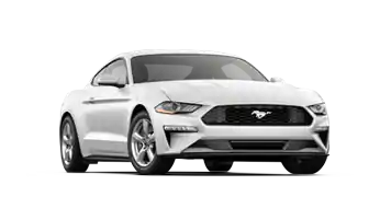 Elder Ford of Tampa in Tampa FL