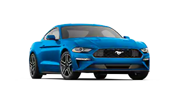 Elder Ford of Tampa in Tampa FL