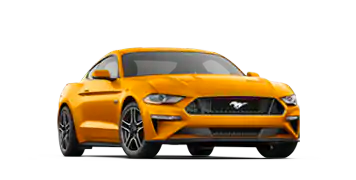 Elder Ford of Tampa in Tampa FL