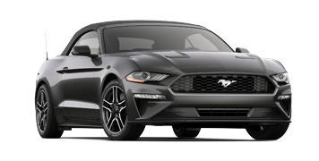 Elder Ford of Tampa in Tampa FL