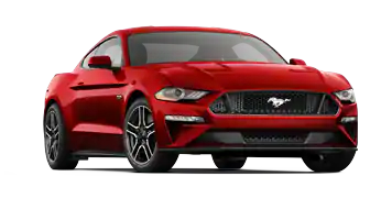 Elder Ford of Tampa in Tampa FL