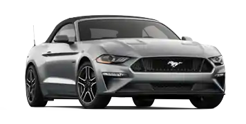 Elder Ford of Tampa in Tampa FL