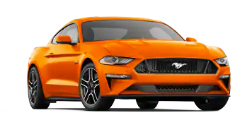 Elder Ford of Tampa in Tampa FL