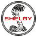 Shelby Vehicles